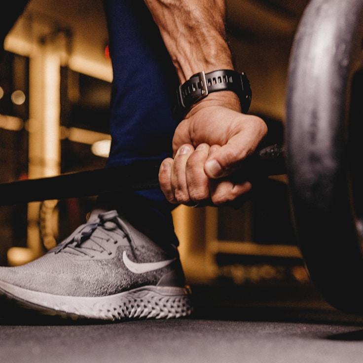 Professional gym interior featuring weight equipment
